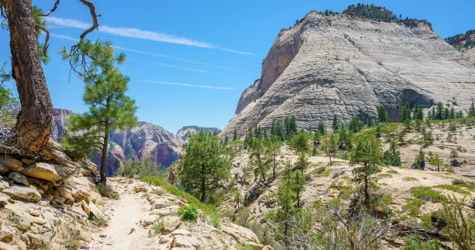 Top Places to Visit in South Lake Tahoe for Nature & Urban Explorers